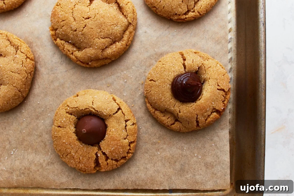 Baked gluten-free peanut butter blossom cookies with chocolate swirls and chocolate drops in the centers, presented on a parchment-lined tray.