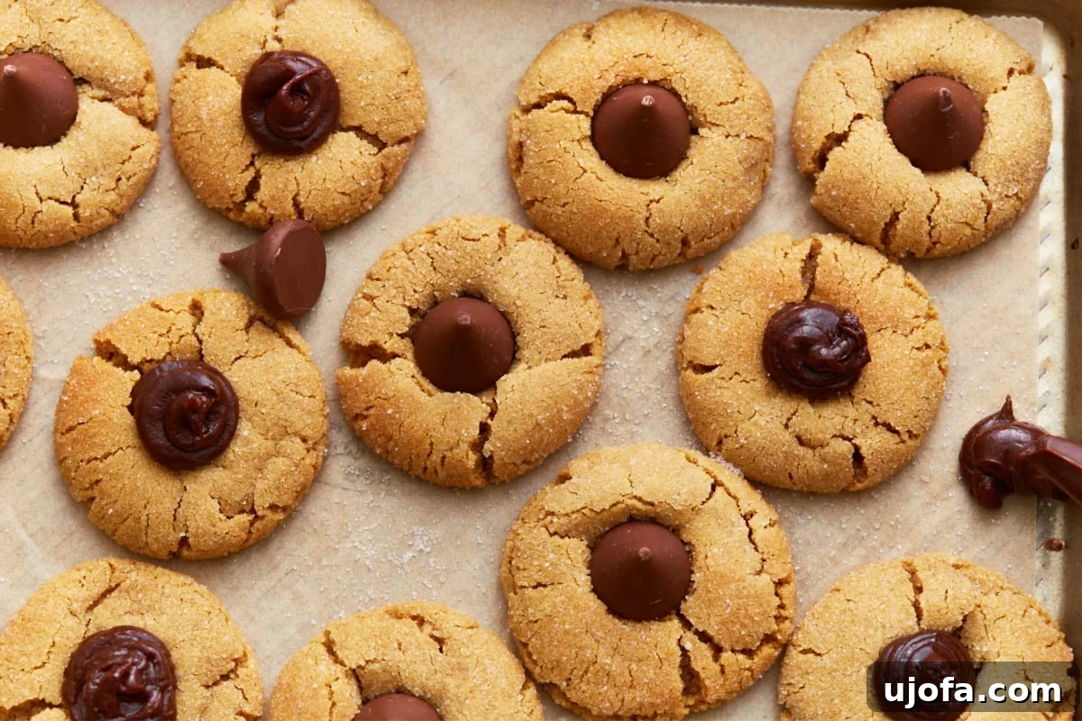 A tray filled with baked gluten-free peanut butter blossom cookies, alternating between chocolate drops and swirls, with additional chocolate pieces scattered around.