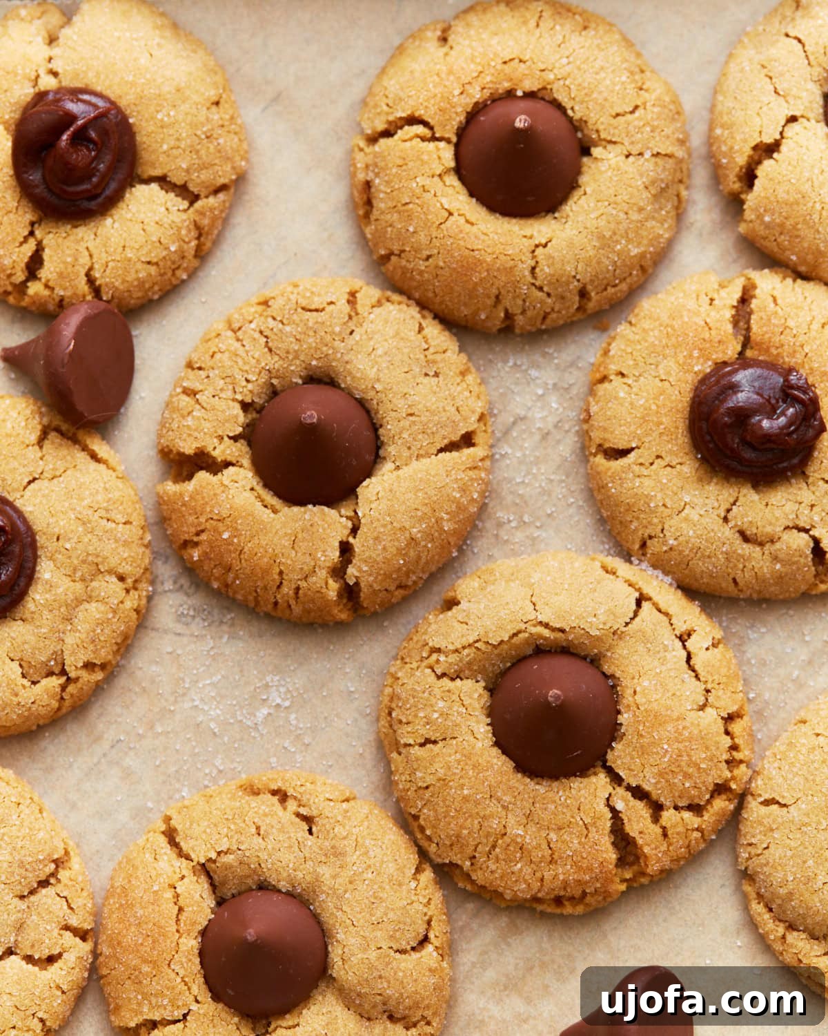Overhead view of golden peanut butter blossom cookies with crackled tops and chocolate centers, surrounded by scattered chocolate pieces.
