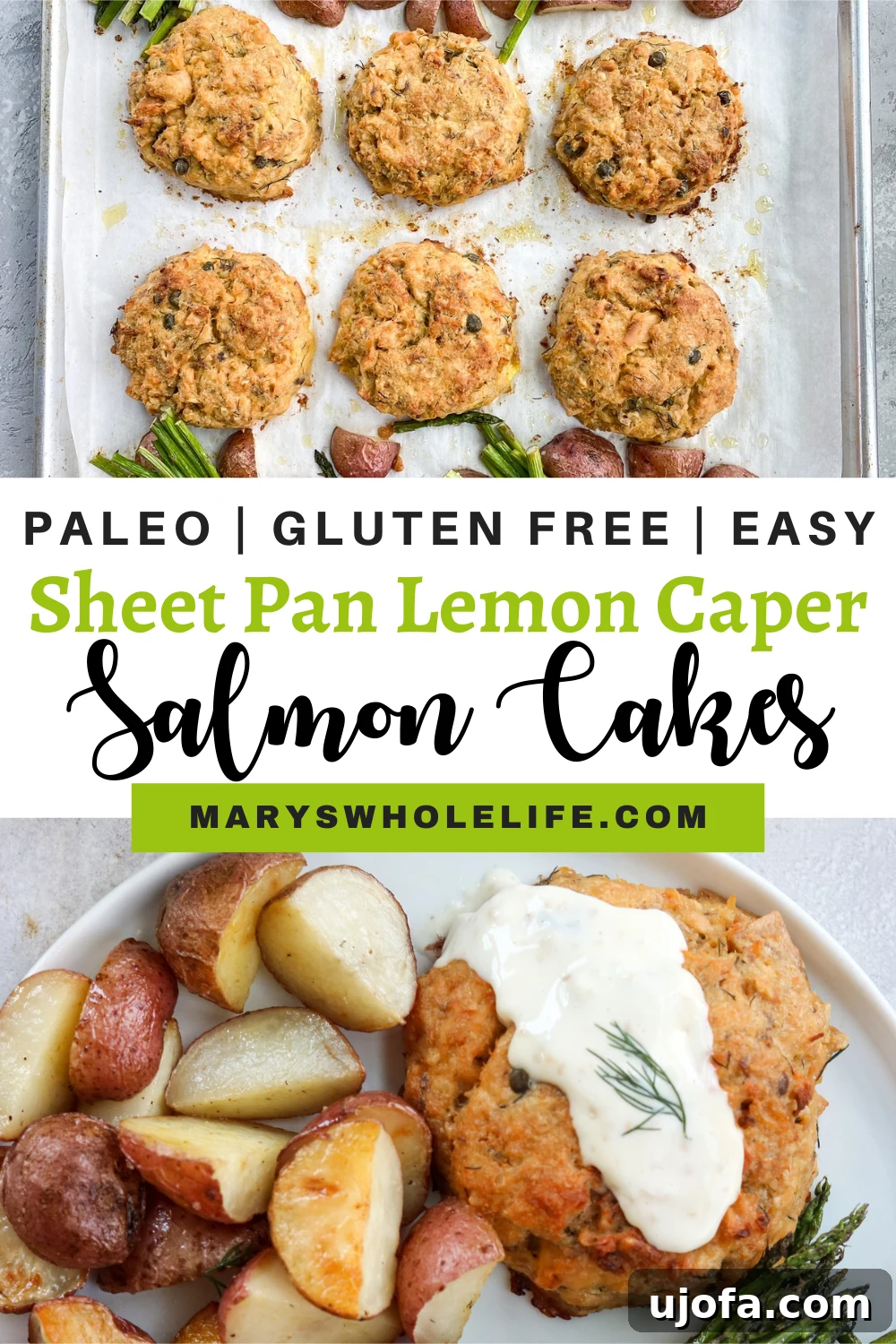 collage of salmon cakes and text title of blog post collage of salmon cakes and text title of blog post