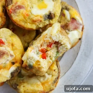Savory Western Egg Bites 2 Western Omelette Egg Bites