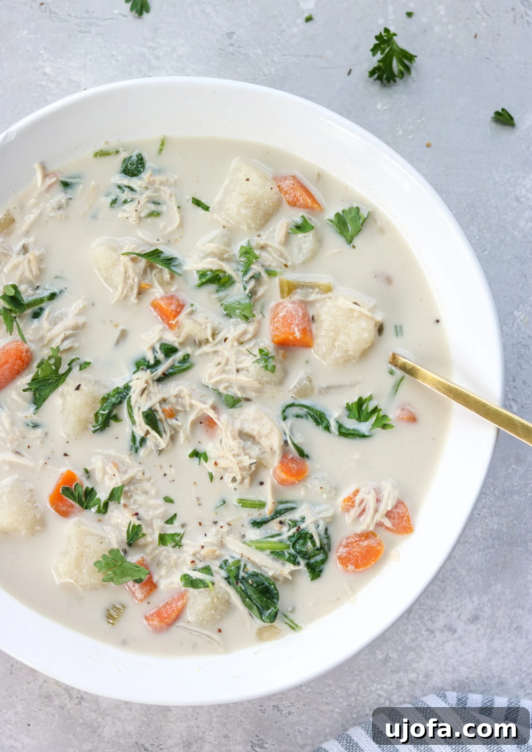 Gluten-Free Dairy-Free Chicken Gnocchi Soup Ingredients