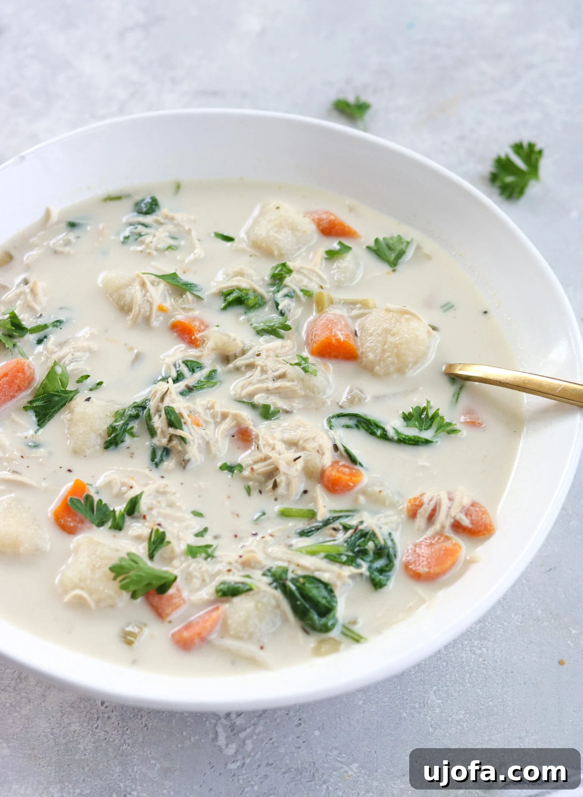 Hearty Slow Cooker Chicken Gnocchi Soup