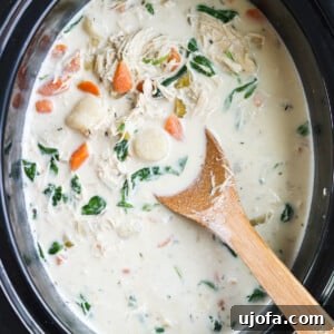 Paleo Chicken Gnocchi Soup