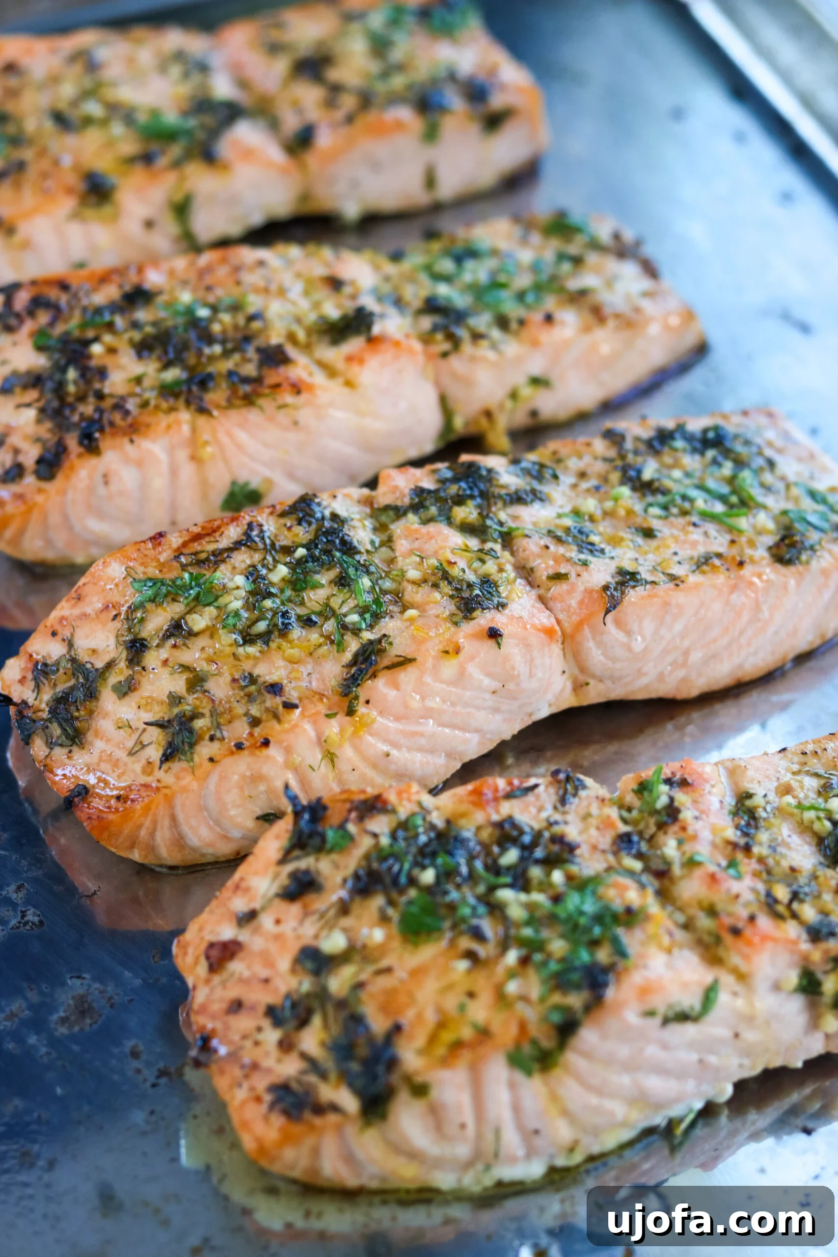 Easy Garlic Herb Baked Salmon Garlic herb baked salmon on a sheet pan, ready for serving, showcasing a perfectly golden crust and vibrant herbs.