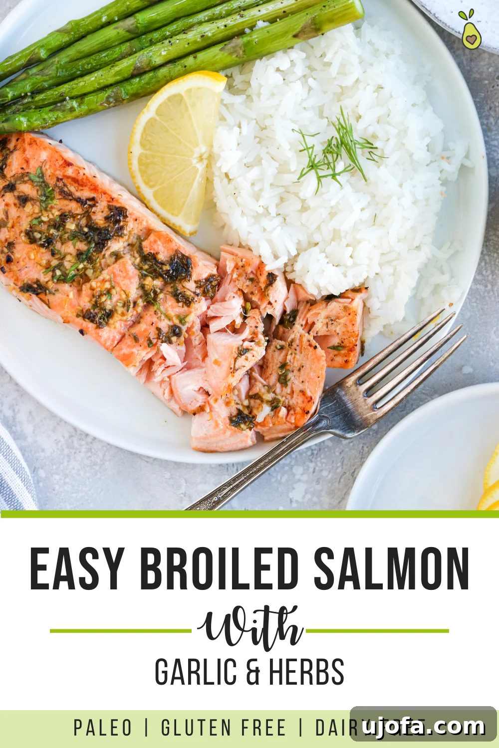 Wholesome Garlic Herb Baked Salmon 2 Easy Broiled Salmon with garlic and herbs, perfect for a quick and healthy dinner.