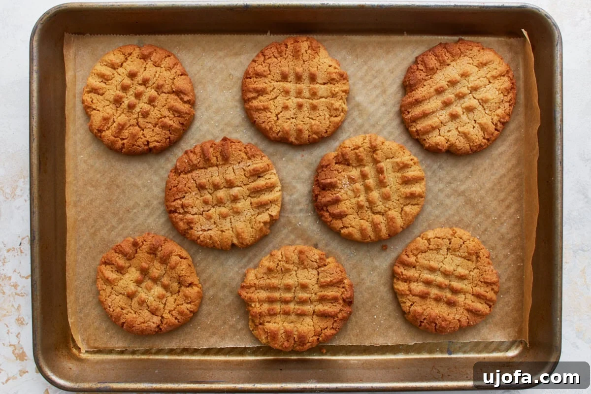 Eight perfectly baked gluten-free peanut butter cookies, golden brown at the edges, resting on a parchment-lined baking sheet.