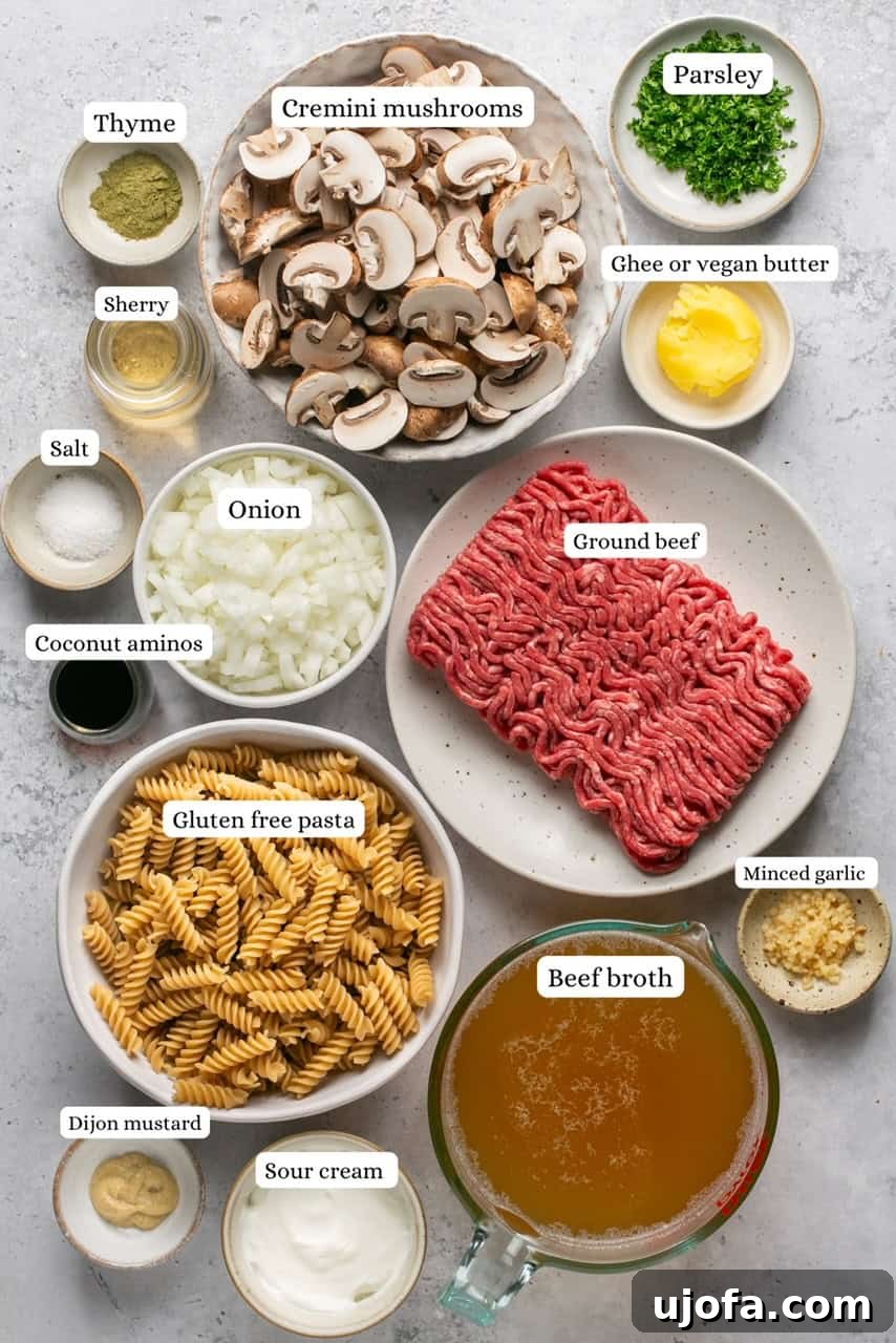 Fresh ingredients laid out for making gluten-free ground beef stroganoff with pasta.