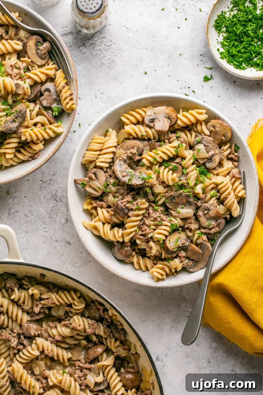 Two bowls of homemade Hamburger Helper Stroganoff, garnished and ready to eat with spoons.