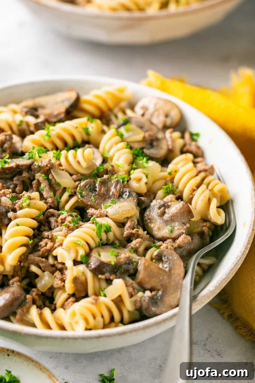 A close-up, side view of a bowl of ground beef stroganoff with a metal spoon, highlighting the creamy sauce and pasta.