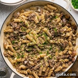 hamburger helper stroganoff in a pot topped with parsley