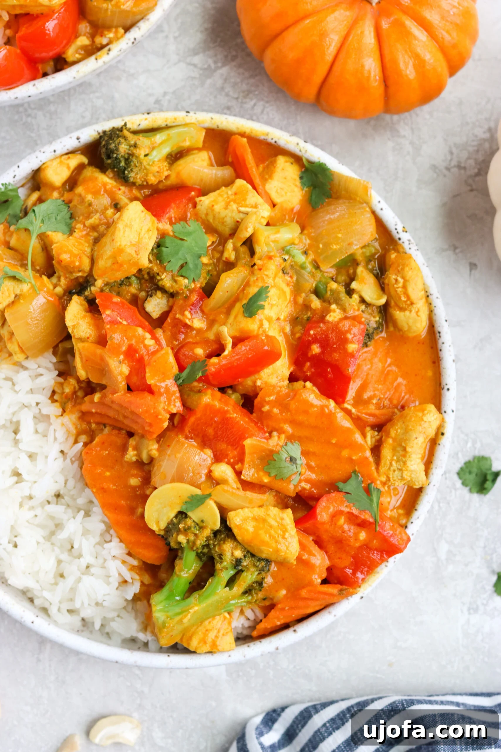 A vibrant bowl of Thai Pumpkin Chicken Curry with white rice, garnished with fresh cilantro, set against a clean white background.