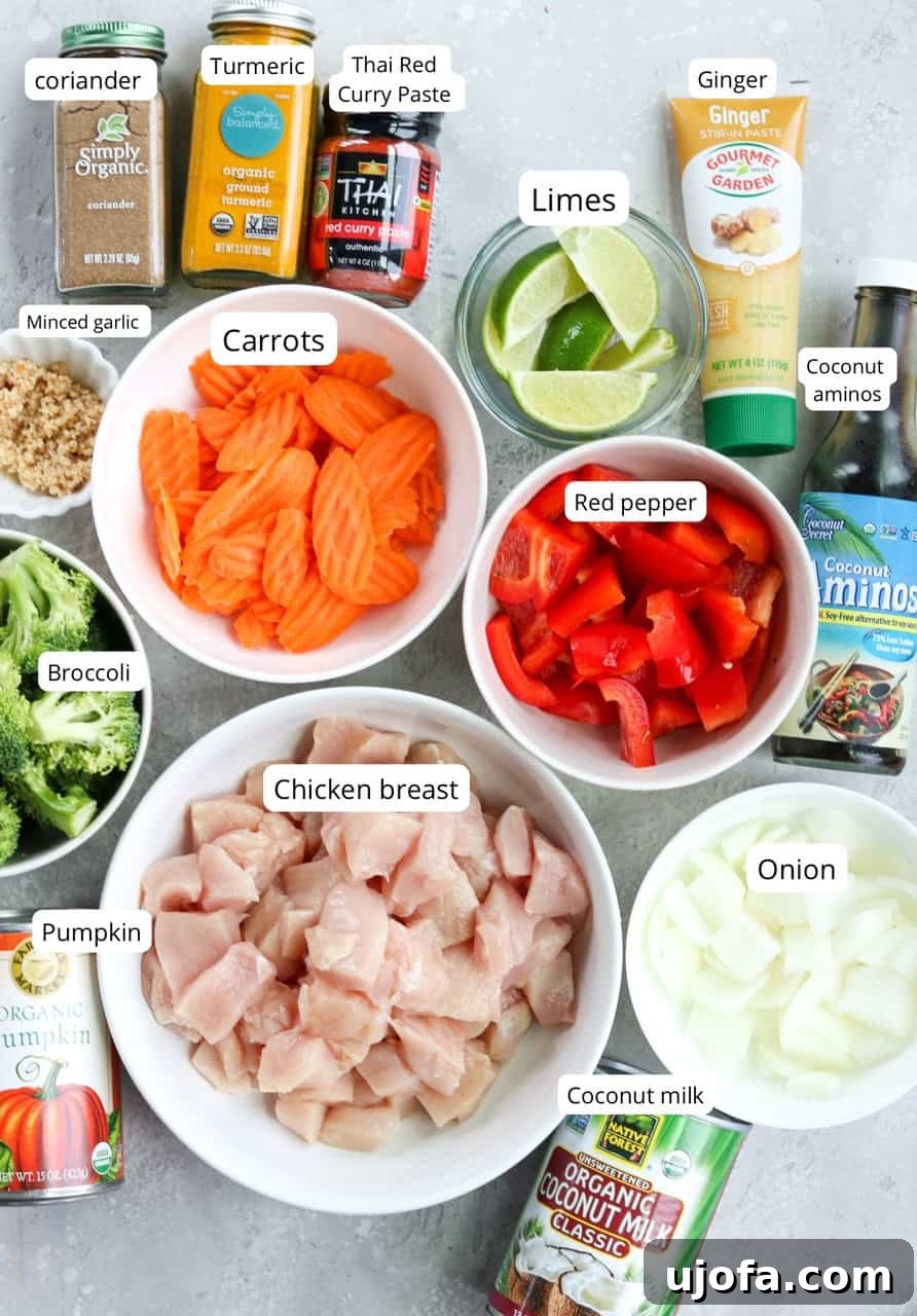A flat lay photograph showcasing all the fresh and pantry ingredients needed for Thai Pumpkin Chicken Curry, neatly labeled.