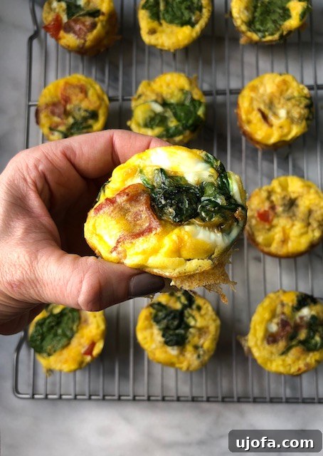 BLT Breakfast Bites 2 Delicious BLT Egg Cups in a muffin tin, ready for a healthy Whole30 breakfast. Perfect for meal prepping.