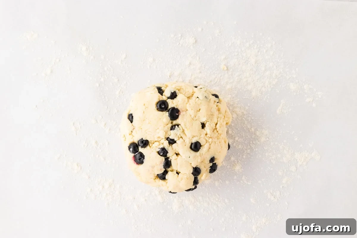 Blueberry Burst Gluten-Free Scones 12 A round ball of gluten-free blueberry scone dough placed on a floured parchment surface, dotted with fresh blueberries.