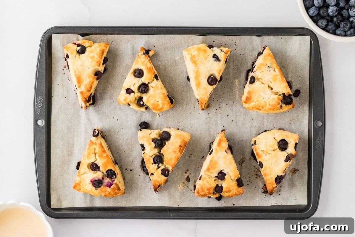 Blueberry Burst Gluten-Free Scones 16 Golden brown baked blueberry scones on a parchment-lined tray, fresh out of the oven, with their crisp edges and visible blueberries.