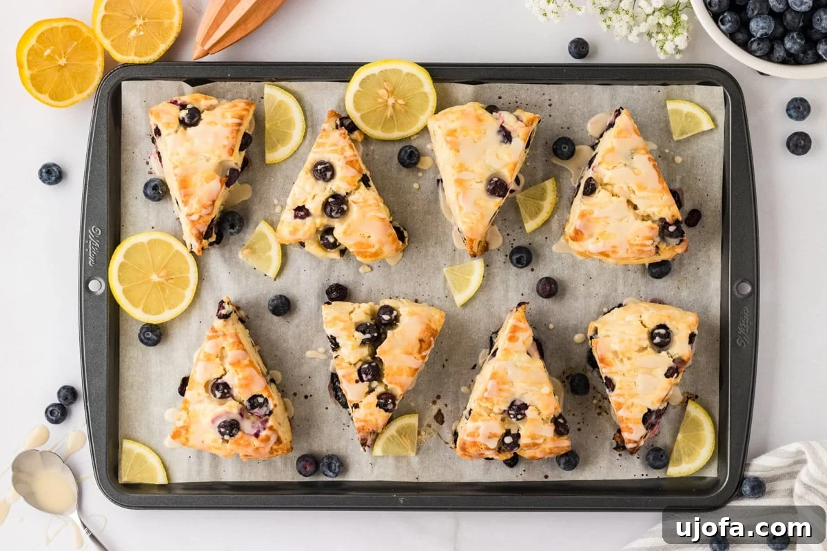 Blueberry Burst Gluten-Free Scones 18 Fully glazed gluten-free blueberry scones arranged on a baking tray, garnished with fresh lemon slices and scattered blueberries.