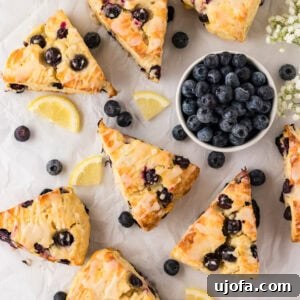 A top-down view of freshly baked gluten-free blueberry scones on parchment paper, drizzled with lemon glaze, surrounded by fresh blueberries and lemon slices.
