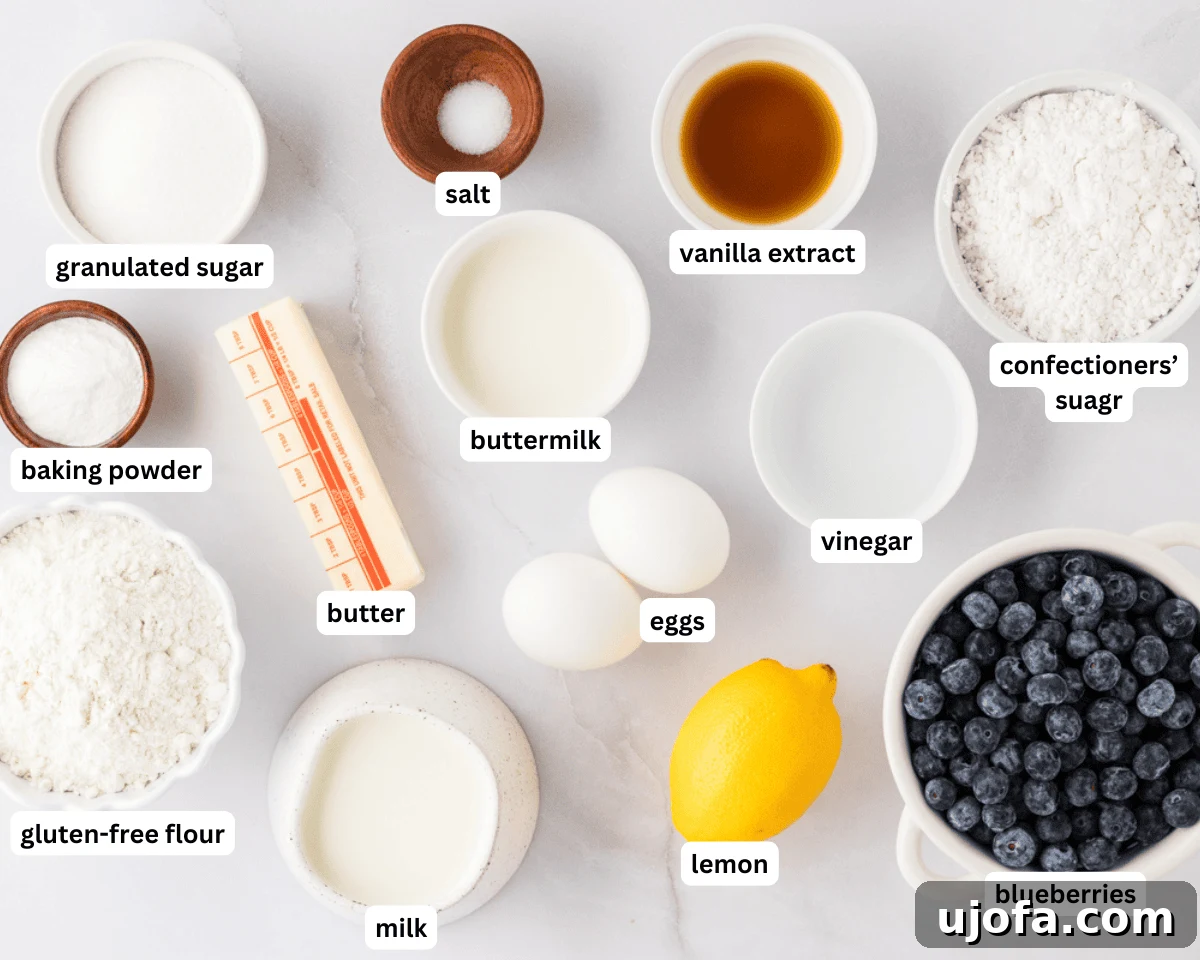 Blueberry Burst Gluten-Free Scones 4 Gluten-free blueberry scone ingredients laid out.