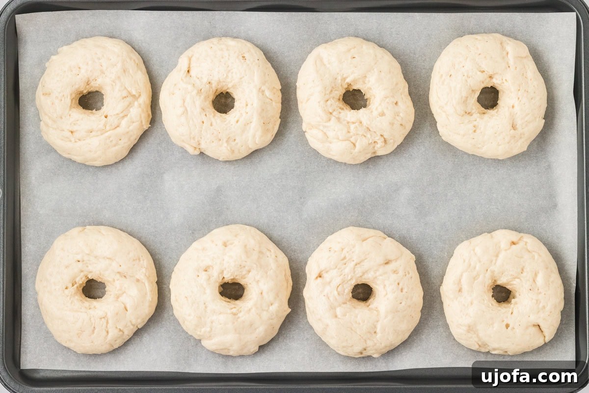 Eight unbaked gluten-free bagels shaped and placed on a parchment-lined baking sheet, ready for boiling.