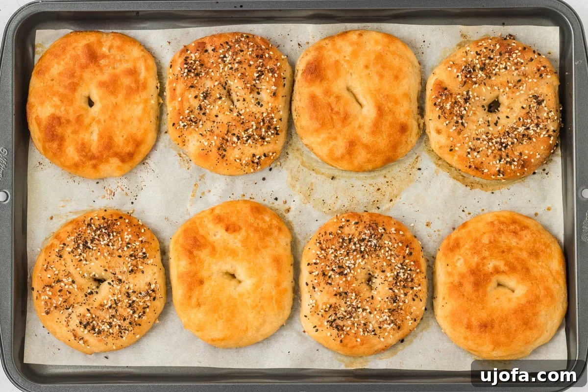 Golden brown gluten-free bagels just out of the oven on a baking sheet, with a mix of plain and everything bagel toppings.