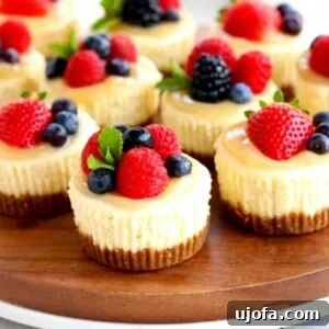 Gluten-free mini cheesecakes topped with berries on a wood platter with berries, graham crackers and coffee in the background