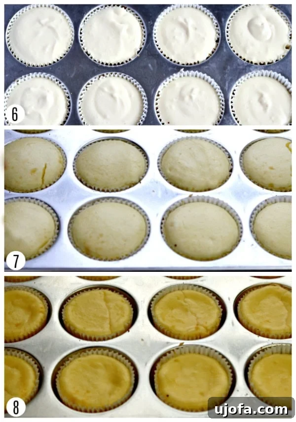 Guilt-Free Mini Cheesecake Bites 5 A photo collage detailing the final steps of creating gluten-free mini cheesecakes, showing the filling being portioned into crusts, the baked cheesecakes fresh from the oven, and the fully cooled, chilled cheesecakes ready for serving with various toppings.
