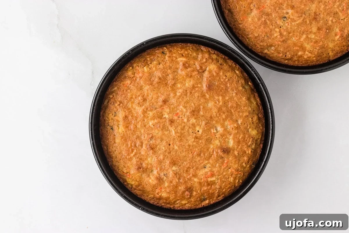 Two round cakes baked to a golden brown, still in the pans, with a soft texture and visible flecks of carrots and nuts.