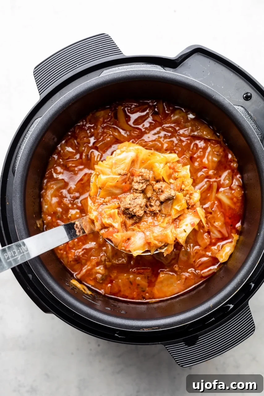 Easy Instant Pot Cabbage Roll Soup 3 A close-up view of an Instant Pot filled with perfectly cooked Unstuffed Cabbage Soup, featuring tender cabbage, ground meat, and a rich tomato broth, with a large ladle ready for serving.