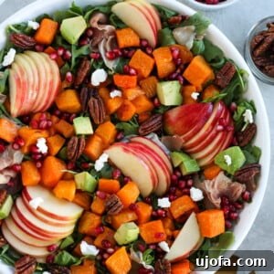Harvest Salad in a white bowl