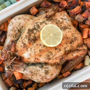 Close-up of the perfectly roasted chicken and vegetables in a pan, ready to be served.