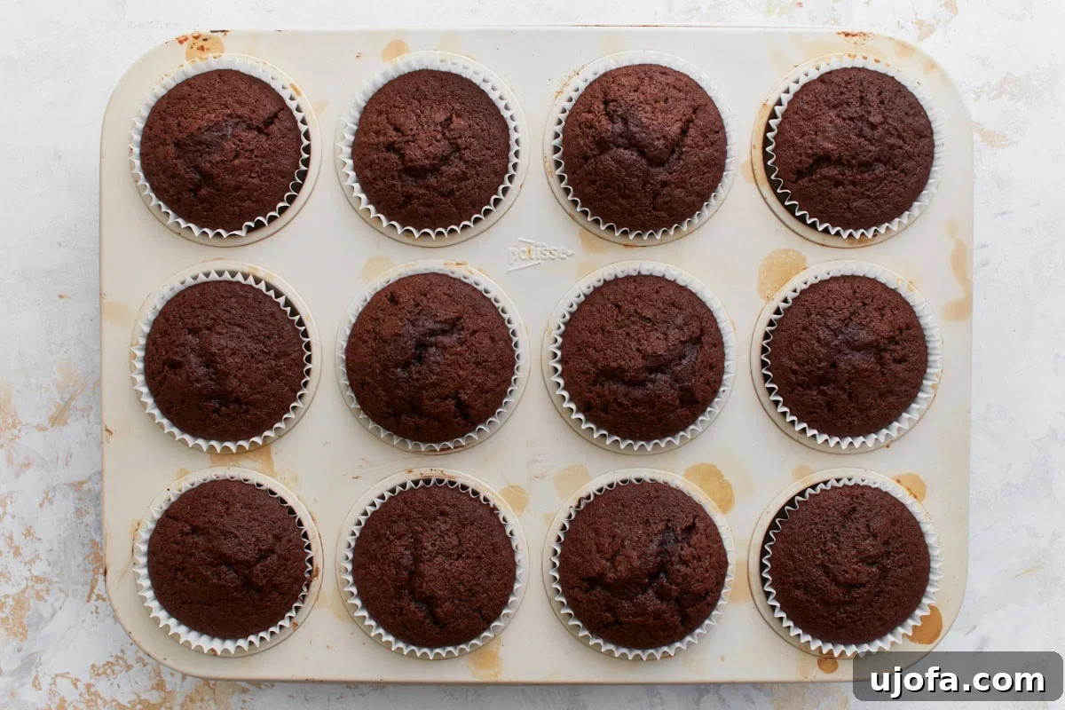 Guilt-Free Chocolate Indulgence 12 Freshly baked gluten-free chocolate cupcakes still in the muffin pan, with domed tops and a rich, dark color.