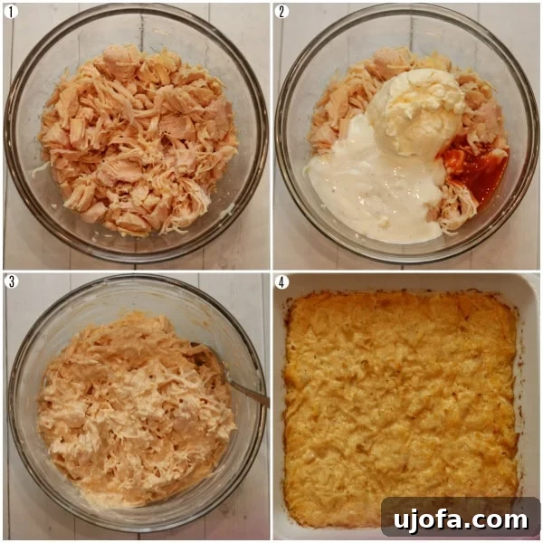 buffalo chicken dip recipe steps photo collage