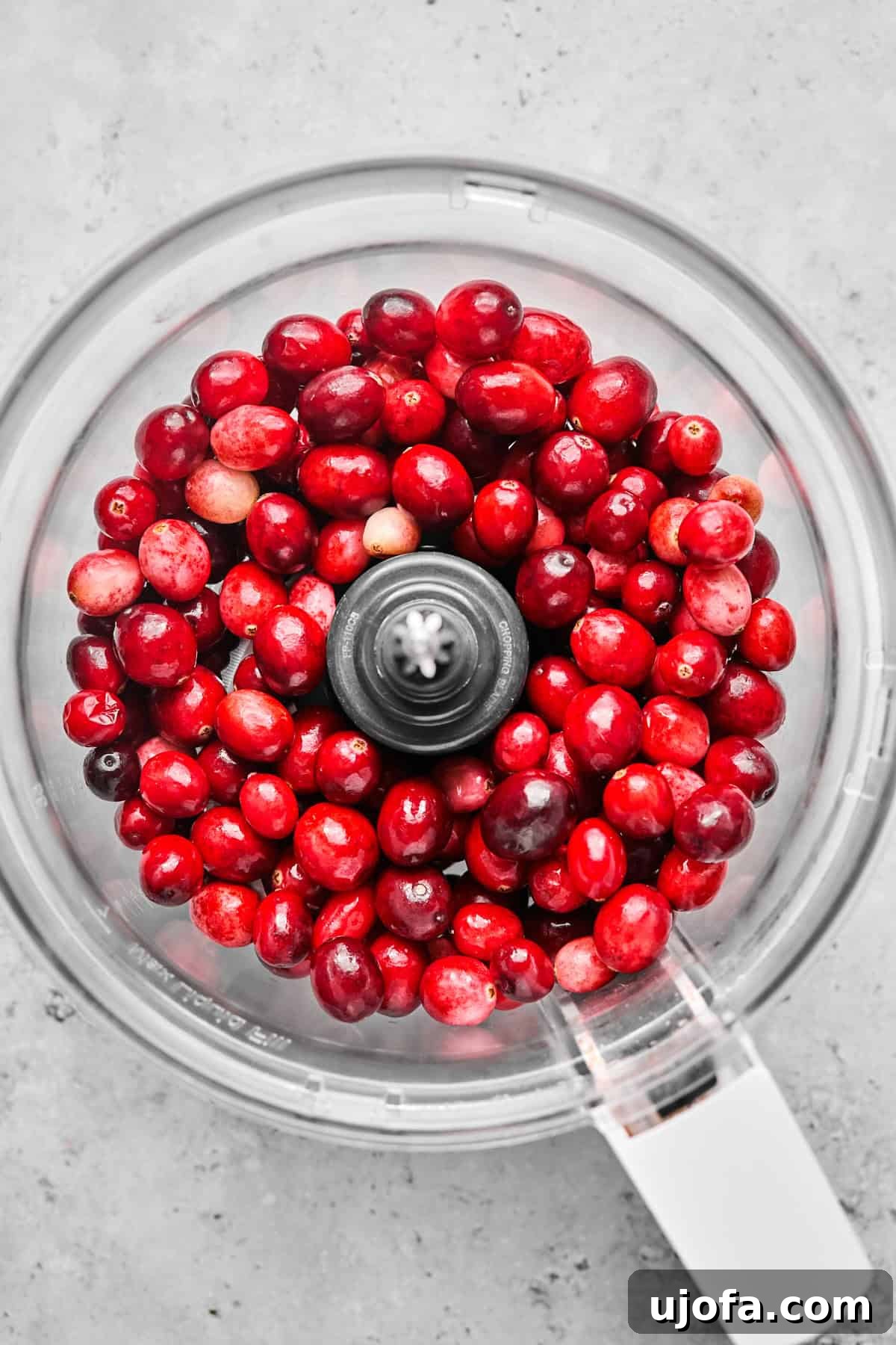 Effortless Dairy Free Cranberry Jalapeno Dip 4 cranberries in a food processor