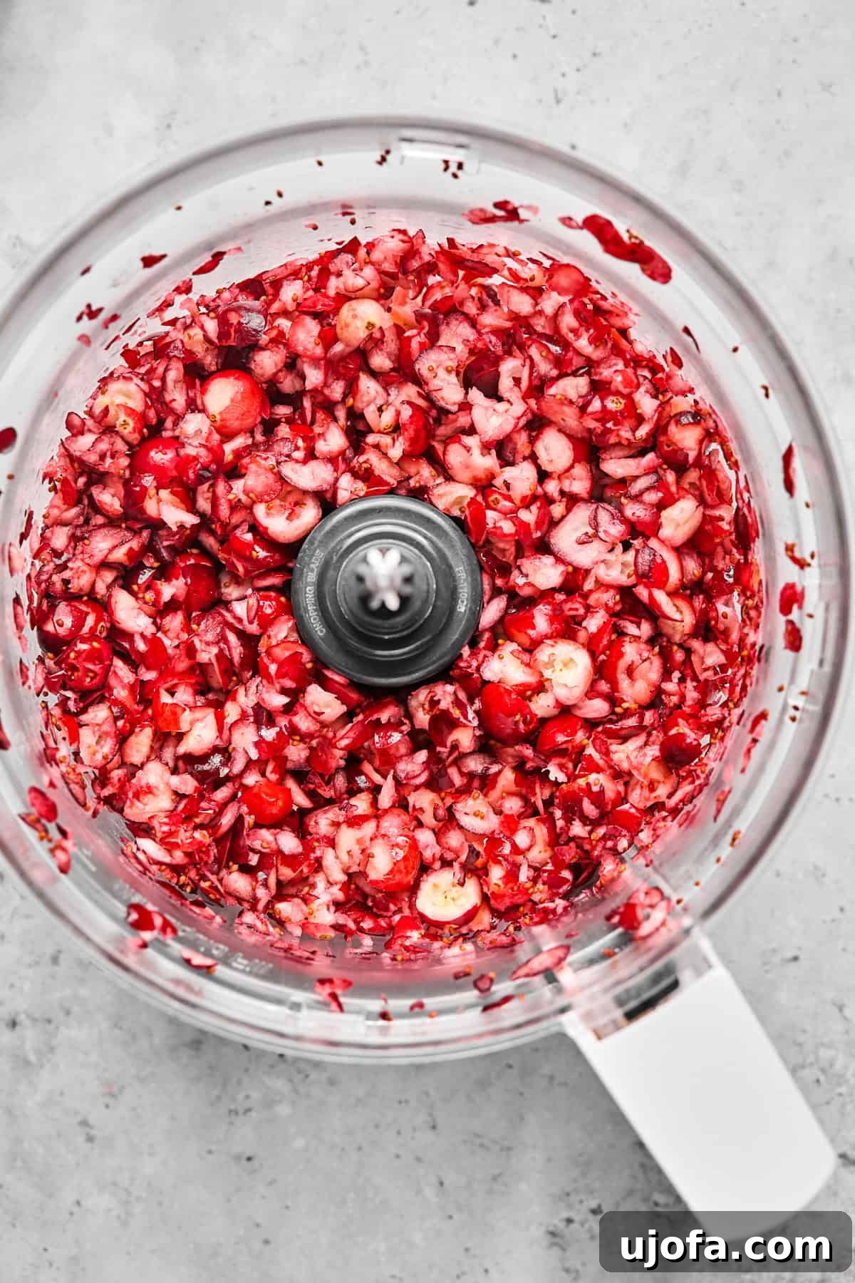 Effortless Dairy Free Cranberry Jalapeno Dip 5 chopped up cranberries in a food processor