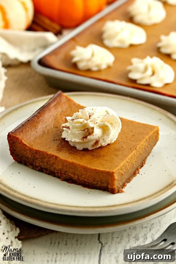 Spiced Gluten-Free Pumpkin Pie Squares 2 Two gluten-free pumpkin pie bars on a white plate, garnished with whipped cream and a sprinkle of cinnamon, with a larger pan of bars blurred in the background, creating a cozy and inviting autumn scene.
