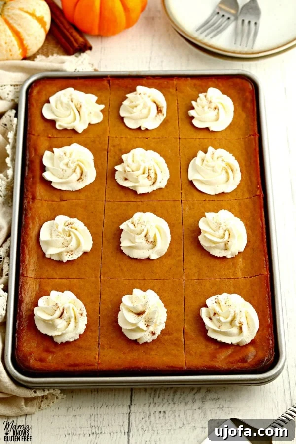 Spiced Gluten-Free Pumpkin Pie Squares 4 A baking pan filled with golden-brown gluten-free pumpkin pie bars, freshly baked and ready for cooling or slicing, showcasing the even crust and smooth filling.