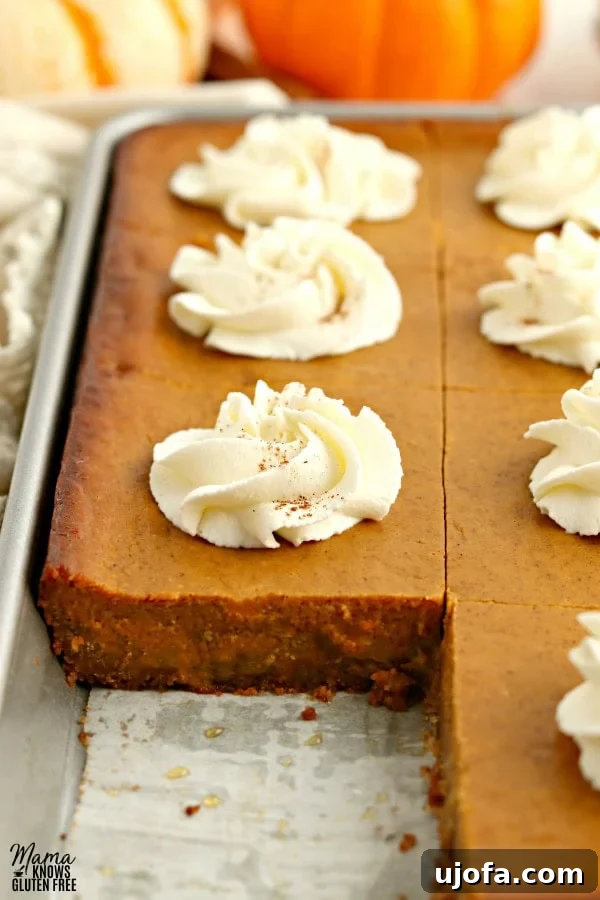 Spiced Gluten-Free Pumpkin Pie Squares 5 A pan of gluten-free pumpkin pie bars with one serving already cut out, ready to be enjoyed, showing the distinct layers of crust and filling.