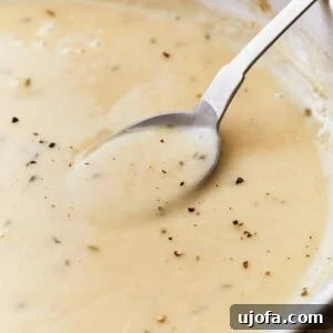 Side view of a spoon in a pan of gluten-free gravy.