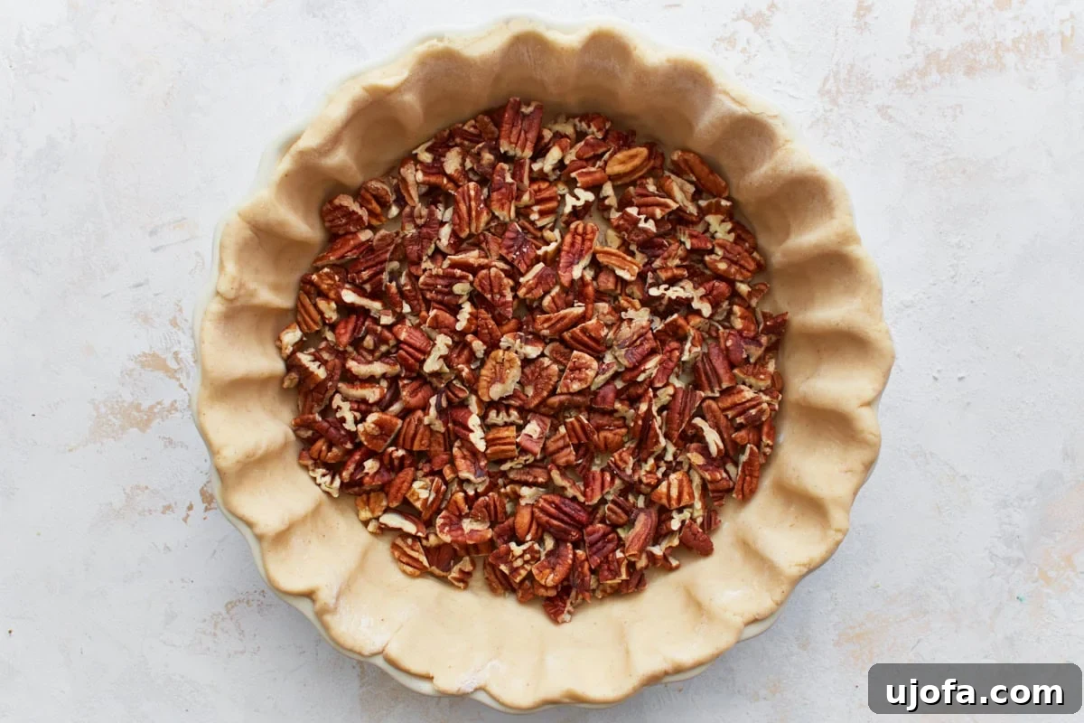 Coarsely chopped pecans evenly distributed at the bottom of a gluten-free pie crust in a pie pan.