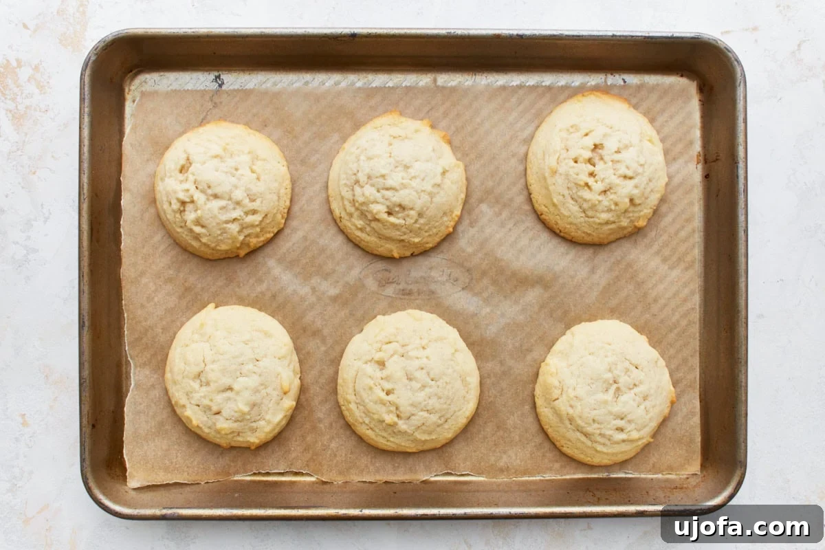 Simply Sweet Gluten-Free Cookies 12 A fresh batch of golden-edged gluten-free sugar cookies cooling on a parchment-lined baking sheet, having just been removed from the oven.