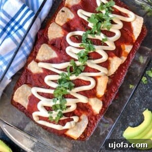 Close-up of a single Paleo Beef Enchilada, showing the rich beef filling and the vibrant red enchilada sauce.