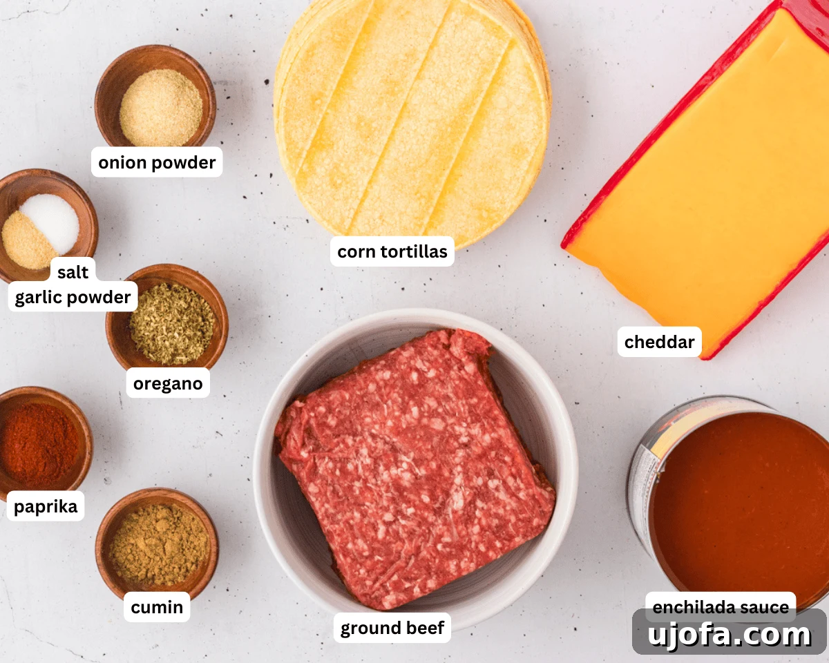 A flat lay photograph showcasing all the ingredients for gluten-free enchiladas: ground beef, various spices, corn tortillas, shredded cheese, and a can of red enchilada sauce.