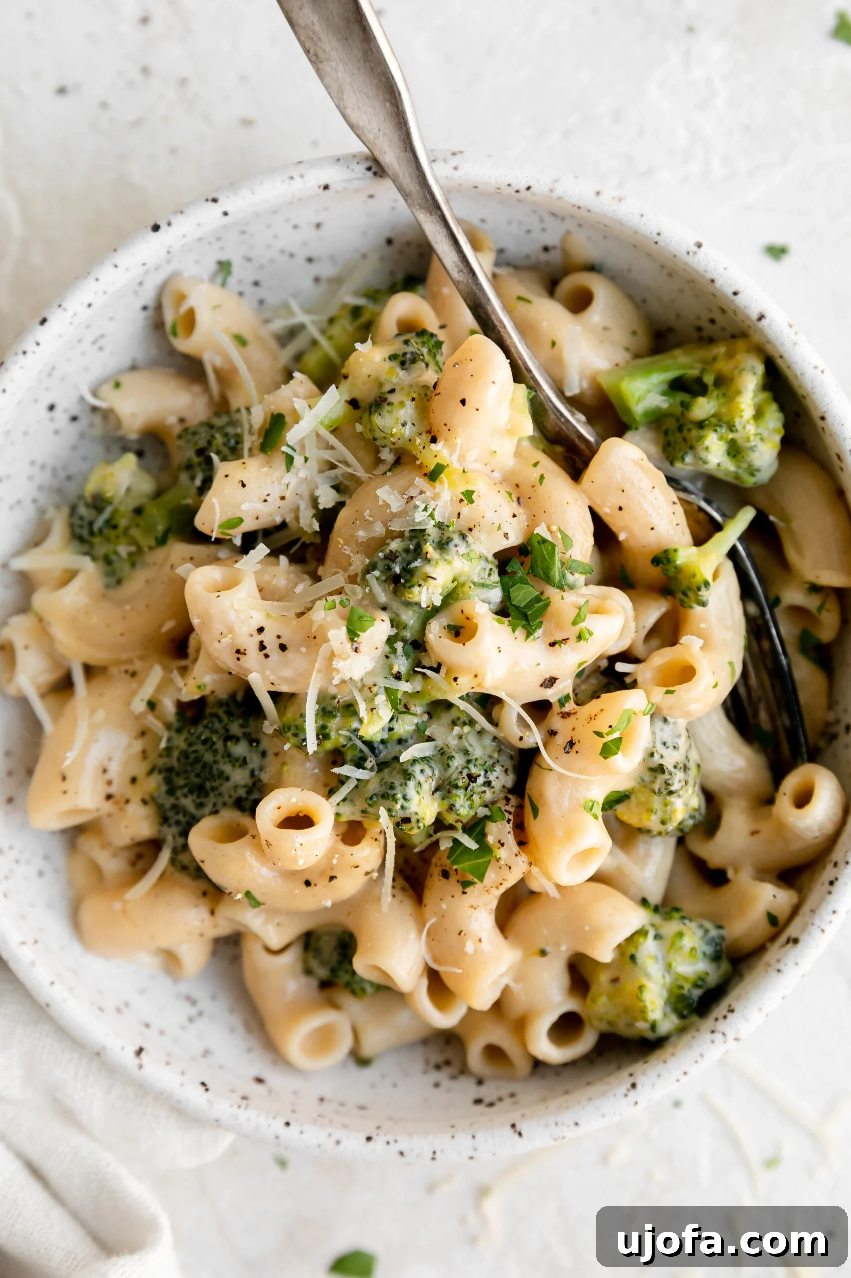 a closeup of a bowl of mac and cheese with broccoli