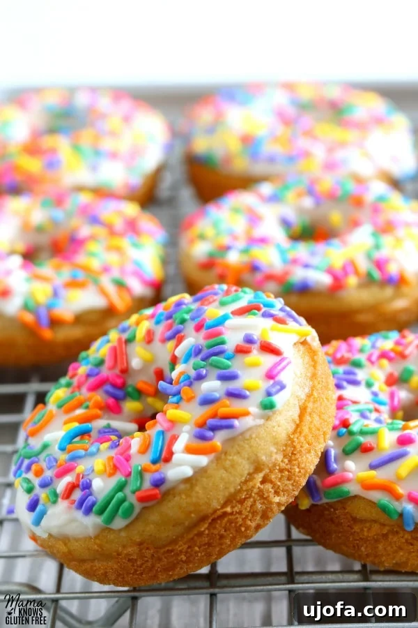 Gluten-Free Vanilla Cake Donuts with Dairy-Free Options 2 Gluten-free vanilla cake donuts arranged on a silver cooling rack, glistening with sweet vanilla glaze.