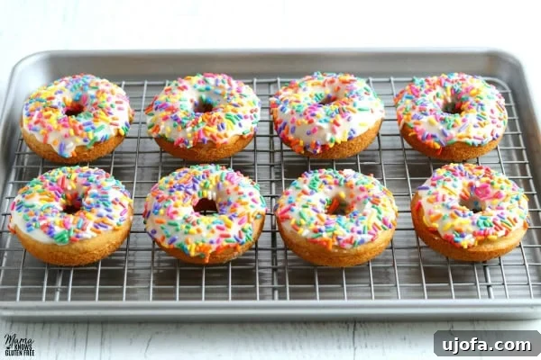 Gluten-Free Vanilla Cake Donuts with Dairy-Free Options 6 img 8833 4