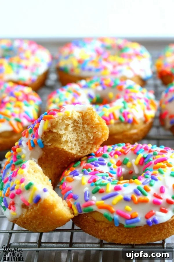 Gluten-Free Vanilla Cake Donuts with Dairy-Free Options 5 A close-up of gluten-free vanilla donuts, showcasing their tender texture and glossy glaze, with one donut having a bite taken out.