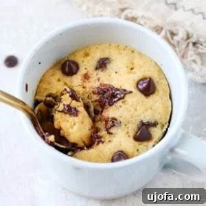 Gluten Free Chocolate Chip Mug Cake with a spoon