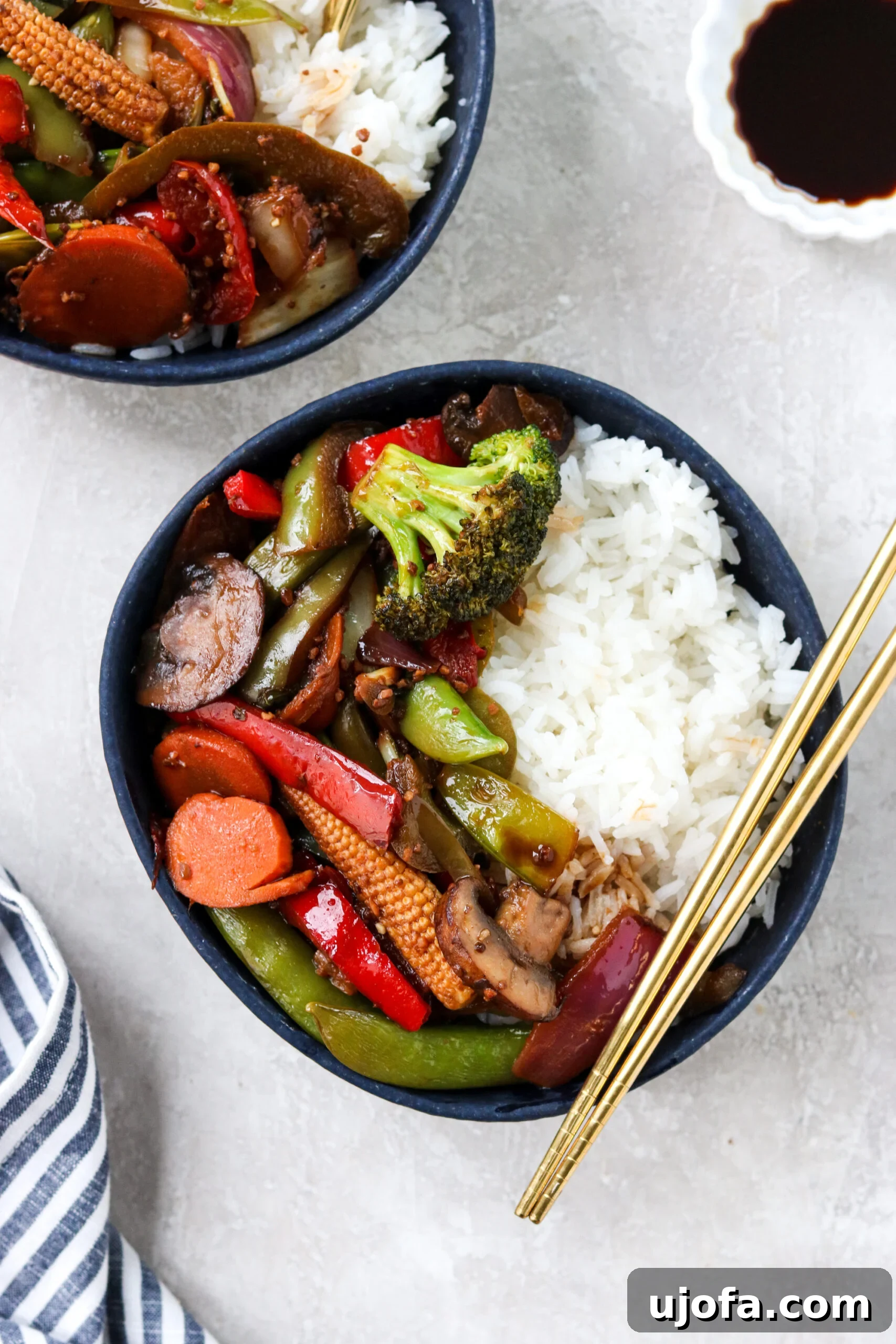 Two aesthetically pleasing blue bowls filled with fluffy white rice, generously topped with a vibrant and appetizing stir-fried vegetable mix, perfectly arranged for serving.