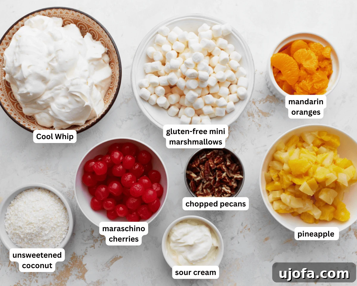 Divine Fruit Ambrosia 4 A collection of all the vibrant ingredients required to make Ambrosia Salad, neatly arranged on a light surface. Includes bowls of pineapple, mandarin oranges, maraschino cherries, mini marshmallows, shredded coconut, chopped pecans, and containers of whipped topping and sour cream.